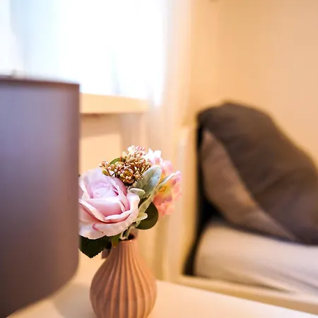 Appartement Geraeumige 120qm Maisonette Mit Balkon Wehome Komfort Kaiserslautern